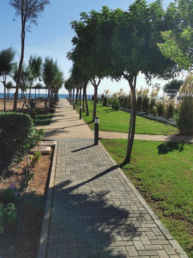 Green Apartment In Bafra Northern Cyprus Vokolidha Exteriör bild