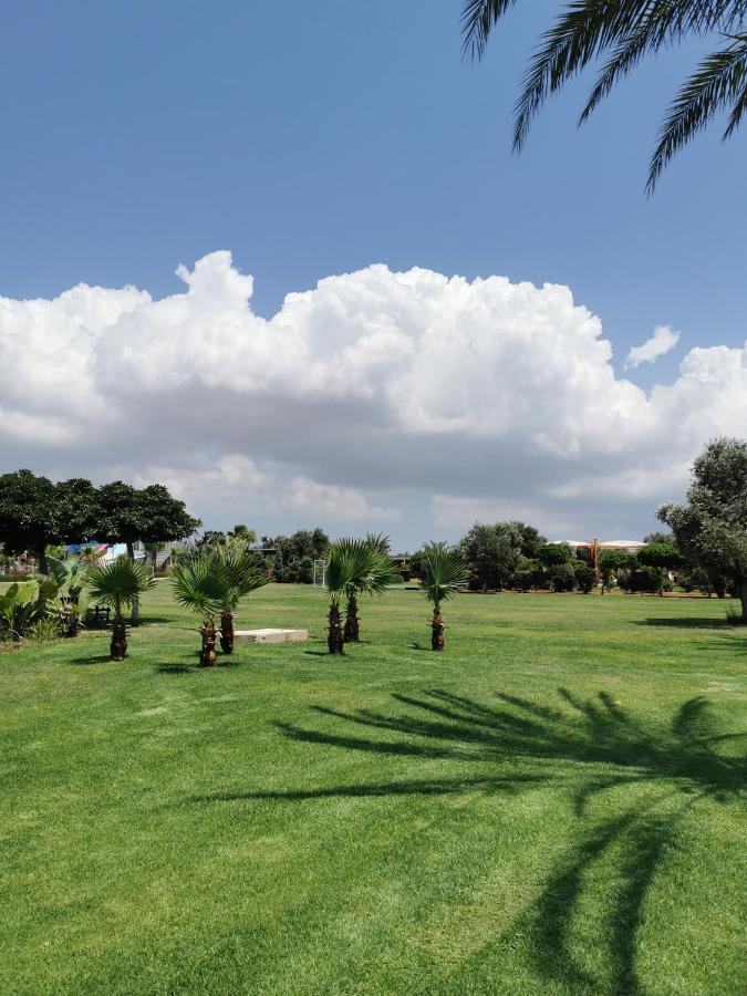 Green Apartment In Bafra Northern Cyprus Vokolidha Exteriör bild