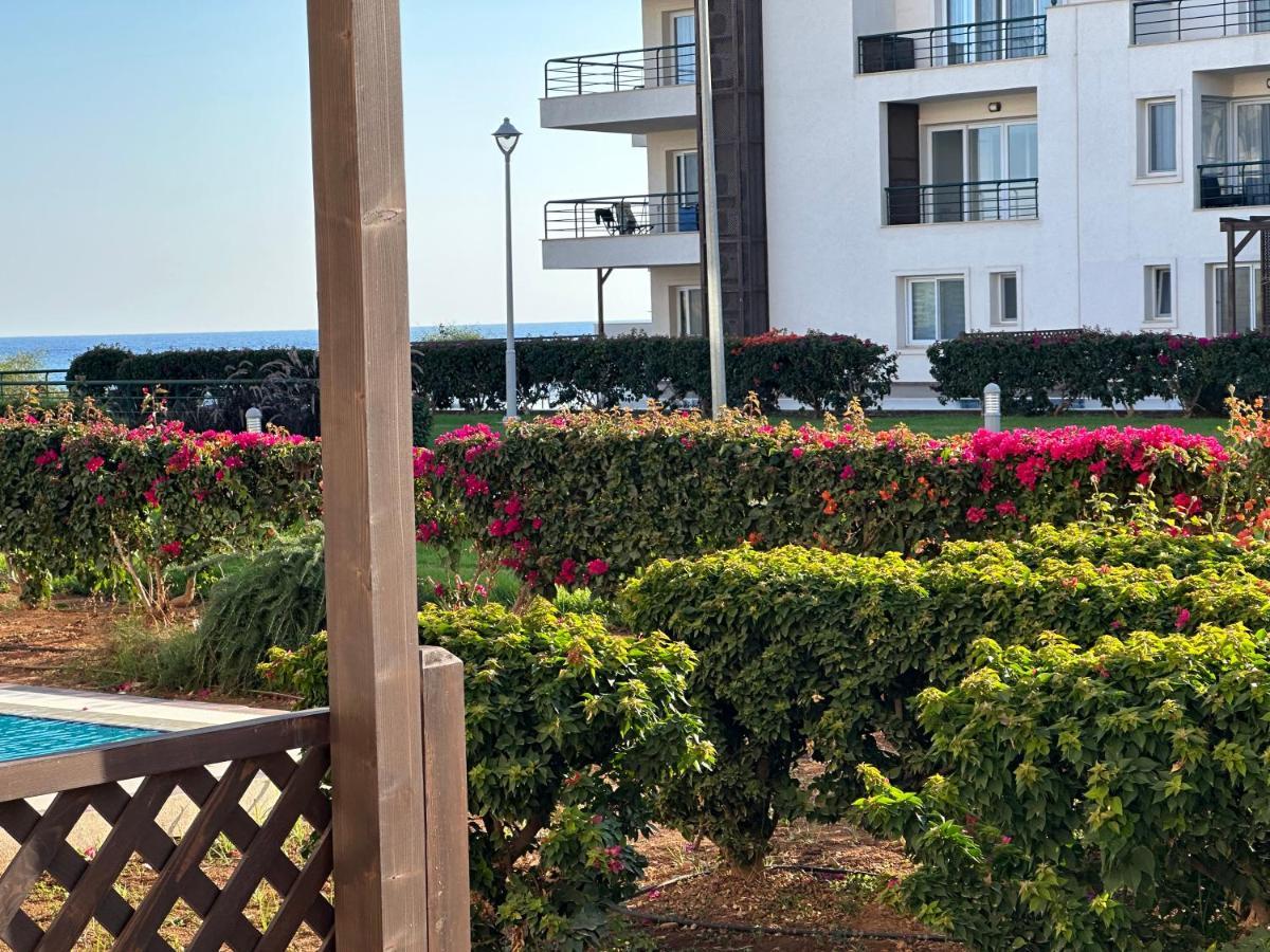 Green Apartment In Bafra Northern Cyprus Vokolidha Exteriör bild